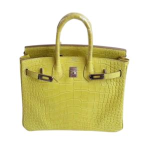 Hermès Birkin  25 Lime 9R Alligator Matt 2017 A
