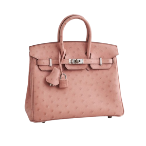 Hermès Birkin  25 Terre 4D Ostrich 2020 Y