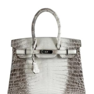 Hermès Birkin Himalaya 30 White 01 Niloticus Crocodile Matt 2014 R