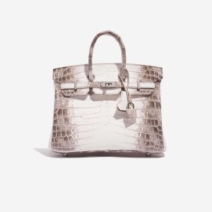 Hermès Birkin Himalaya 25 White 01 Niloticus Crocodile Matt 2021 Z