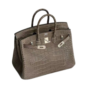 Hermès Birkin  25 Etoupe  18 Porosus Crocodile Matt 2017 A