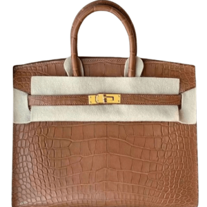Hermès Birkin Sellier 25 Gold 37 Alligator Matt 2024 W