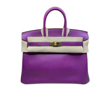 Hermès Birkin  25 Anemone P9 Swift 2022 U