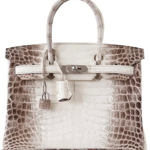 Hermès Birkin Himalaya 25 White 01 Niloticus Crocodile Matt 2016 X