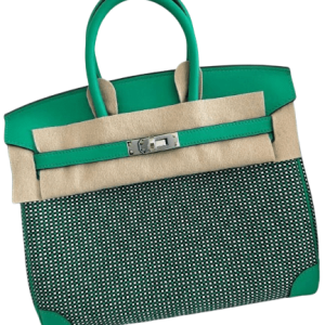 Hermès Birkin Quadrille 25 Black 89, Vert Menth 6W, White 01 Swift, Toile 2024 B