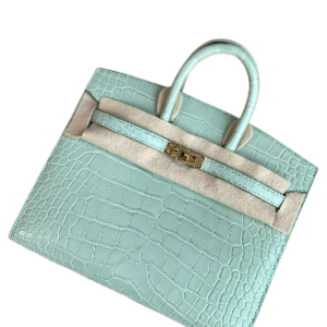 Hermès Birkin Sellier 20 Vert d'eau 6J Alligator Matt 2023 B