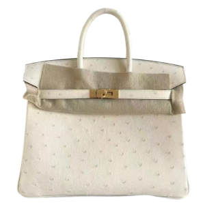 Hermès Birkin  25 Nata I2 Ostrich 2021 Z