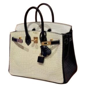 Hermès Birkin HSS & Bicolor 25 Black 89, Vanille Y1 Alligator Matt 2022 U
