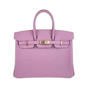 Hermès Birkin  25 Mauve Sylvestre X9 Swift 2024 W