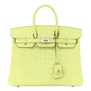 Hermès Birkin  25 Jaune Bourgeon R9 Alligator Matt 2022 U