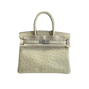 Hermès Birkin  30 Parchemin 3C Ostrich 2016 X
