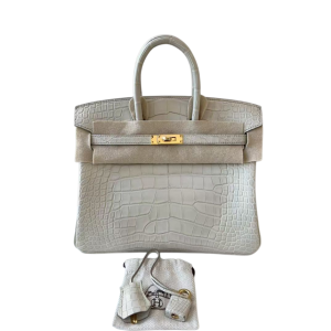 Hermès Birkin  25 Beton 8L Alligator Matt 2022 U