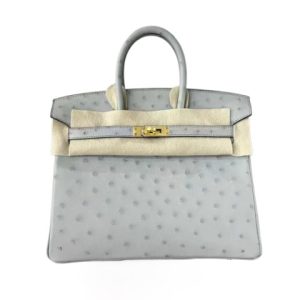 Hermès Birkin  25 Blue Glacier 8U Ostrich 2023 B