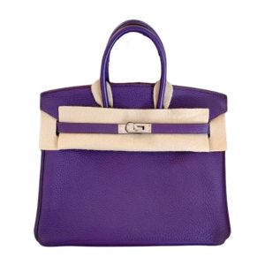 Hermès Birkin  25 Iris 9K Togo 2010 N