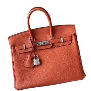 Hermès Birkin  25 Terre Battue R1 Togo 2020 Y