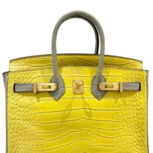 Hermès Birkin Bicolor & HSS 25 Gris Pearl 80, Mimosa M9 Alligator Matt 2019 D