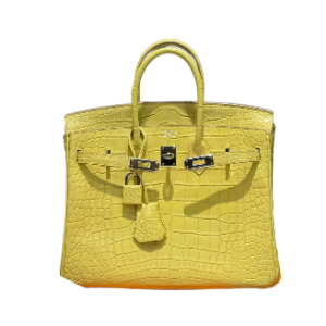 Hermès Birkin  25 Lime 9R Alligator Matt 2018 C