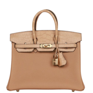 Hermès Birkin Touch 25 Chai 0M Togo, Alligator Matt 2022 U