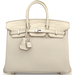 Hermès Birkin Touch 25 Beton 8L Togo, Alligator Matt 2022 U