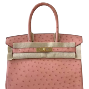 Hermès Birkin  30 Terre Cuite 94 Ostrich 2020 Y