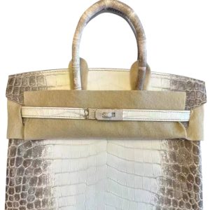 Hermès Birkin Himalaya 25 White 01 Niloticus Crocodile Matt 2023 B