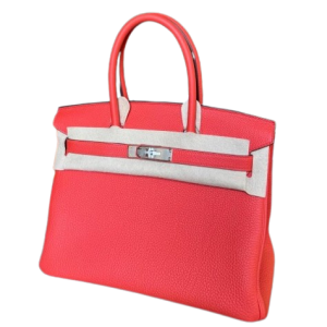 Hermès Birkin  30 Capucine 9T Togo 2024 W