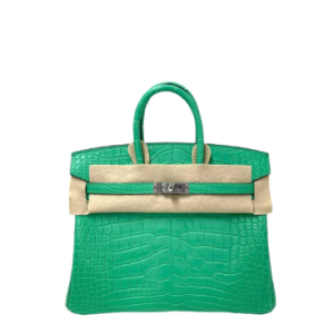 Hermès Birkin  25 Vert Comics 0Z Alligator Matt 2023 B