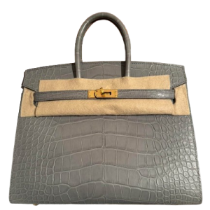 Hermès Birkin Sellier 25 Gris Ciment 0V Alligator Matt 2024 B