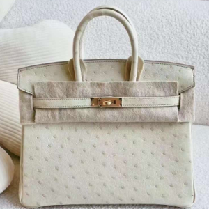 Hermès Birkin  25 Parchemin 3C Ostrich 2021 Z
