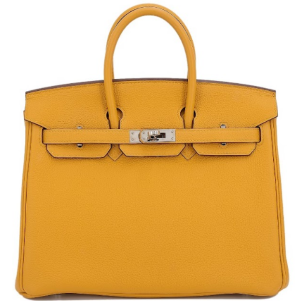 Hermès Birkin  25 Jaune Ambre 9D Togo 2024 W