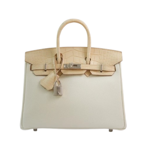 Hermès Birkin Bicolor & Touch 25 Mushroom 0T, Vanille Y1 Togo, Alligator Matt 2024 B
