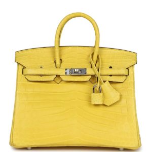 Hermès Birkin  25 Mimosa M9 Niloticus Crocodile Matt 2023 U