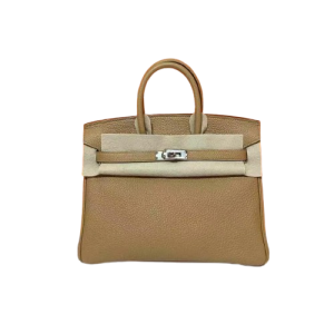 Hermès Birkin  25 Biscuit 01P Togo 2021 Z