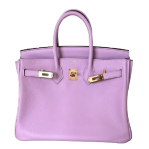 Hermès Birkin  25 Mauve Sylvestre X9 Swift 2023 B