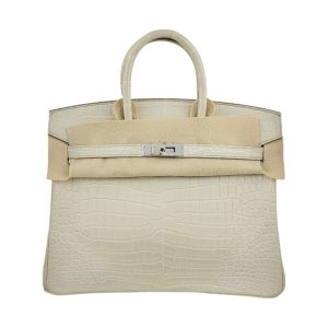 Hermès Birkin  25 Beton 8L Porosus Crocodile Matt 2025 W