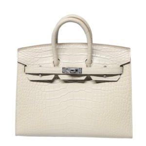 Hermès Birkin Sellier 20 Beton 8L Alligator Matt 2024 B