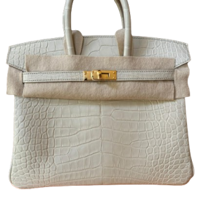 Hermès Birkin  25 Beton 8L Alligator Matt 2025 W