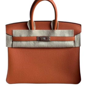Hermès Birkin  25 Orange H 93 Togo 2024 W