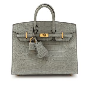 Hermès Birkin  20 Gris Ciment 0V Alligator Matt 2024 W