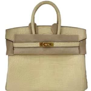 Hermès Birkin  25 Vanille Y1 Alligator Matt 2024 W