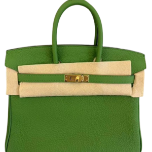 Hermès Birkin  25 Vert Yucca A8 Togo 2024 N/A