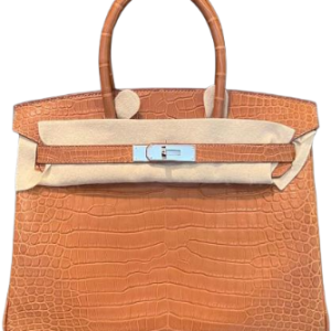 Hermès Birkin  30 Gold 37 Porosus Crocodile Matt 2024 W