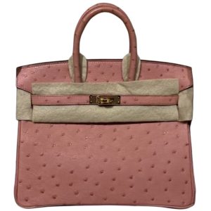 Hermès Birkin  25 Terre Cuite 94 Ostrich 2022 U