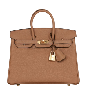 Hermès Birkin  25 Chai 0M Togo 2022 U