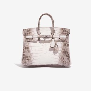 Hermès Birkin Himalaya 25 White 01 Niloticus Crocodile Matt 2017 A