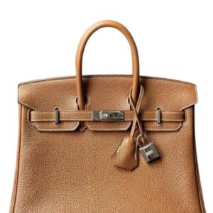 Hermès Birkin  25 Gold 37 Togo 2025 W