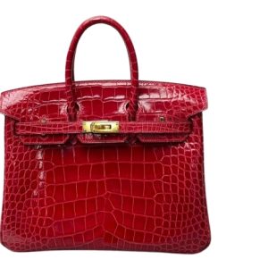 Hermès Birkin  25 Braise 95 Alligator Shiny 2018 C