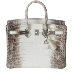 Hermès Birkin Himalaya 25 White 01 Niloticus Crocodile Matt 2024 W