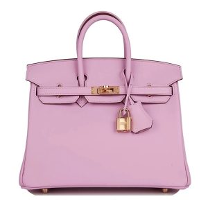 Hermès Birkin  25 Mauve Sylvestre X9 Swift 2024 W